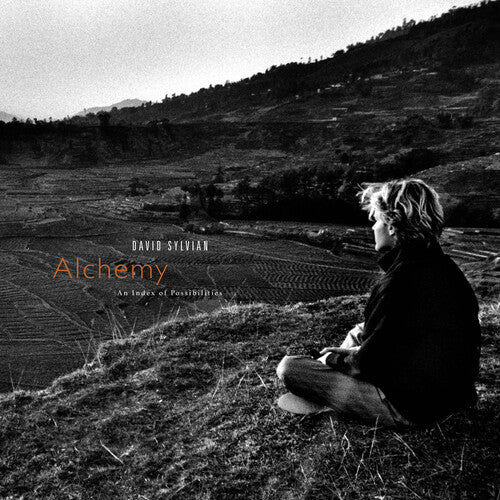 David Sylvian - Alchemy: An Index Of Possibilities LP (Gold Opaque Red Vinyl)