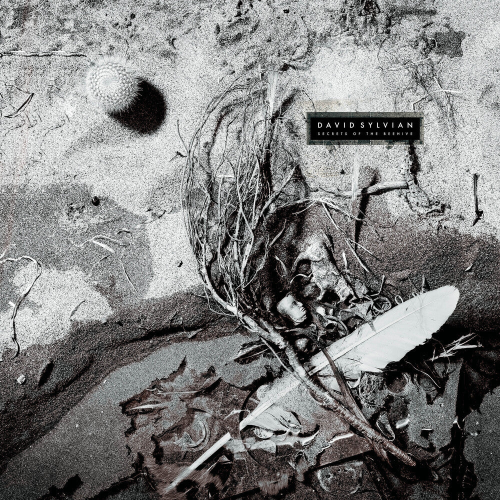 the album cover for David Sylvian - Secrets Of The Beehive - Yellow Opaque Black