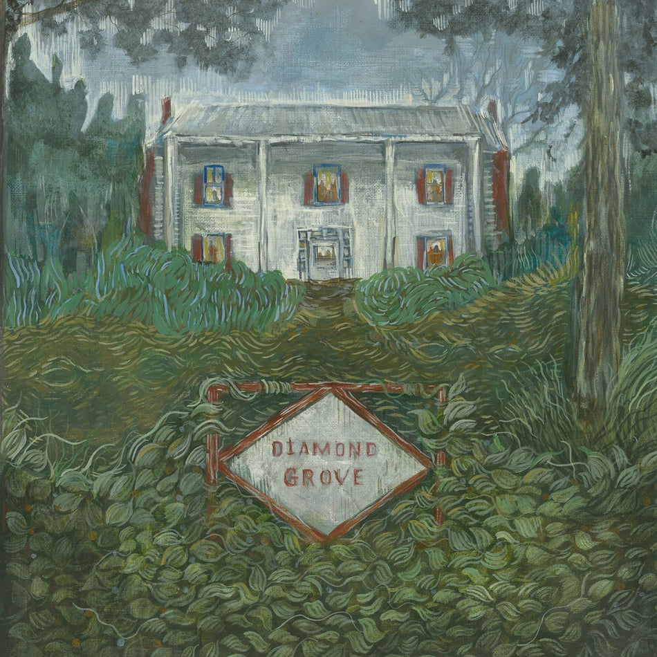 the album cover for Weirs - Diamond Grove