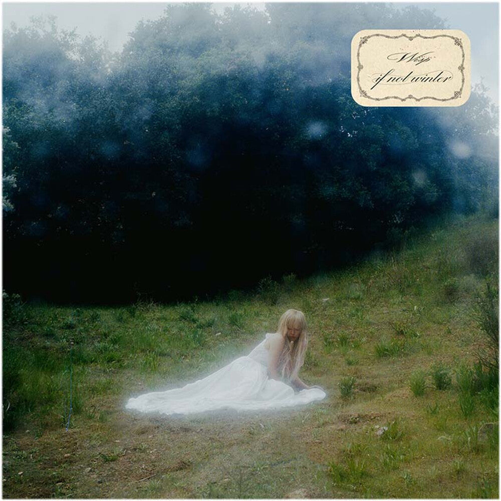 the album cover for Wisp - If Not Winter