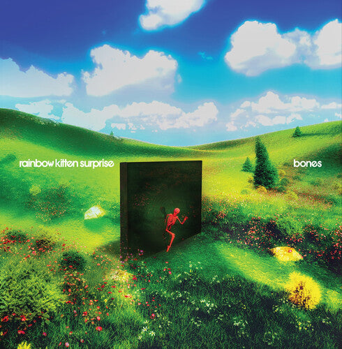 Rainbow Kitten Surprise - bones LP (Indie Exclusive Banana Vinyl)