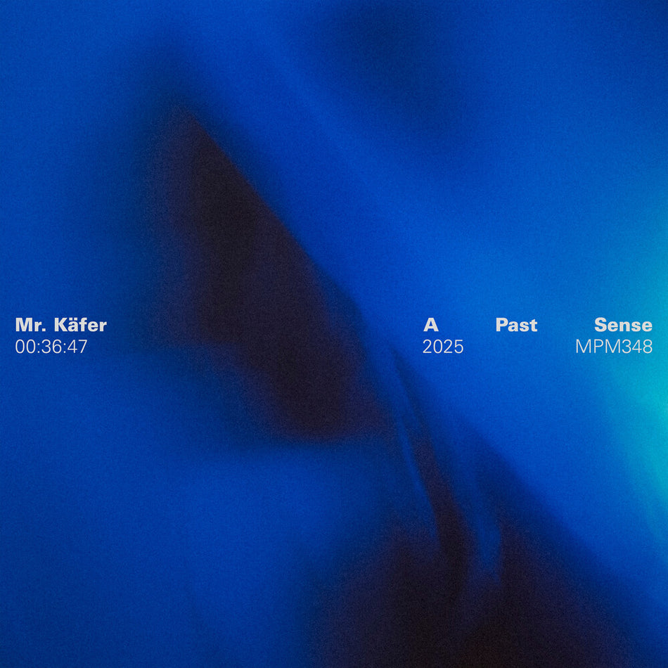 the album cover for Mr. Käfer - Past Sense