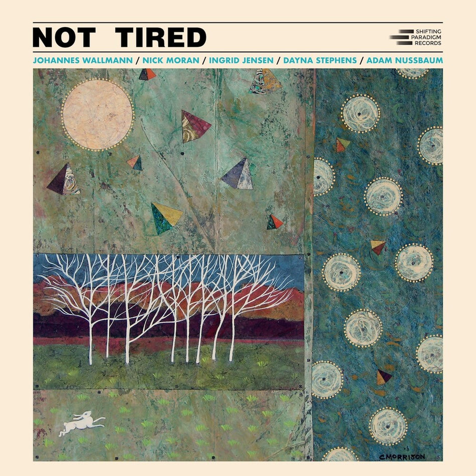 the album cover for Johannes Wallmann - Not Tired