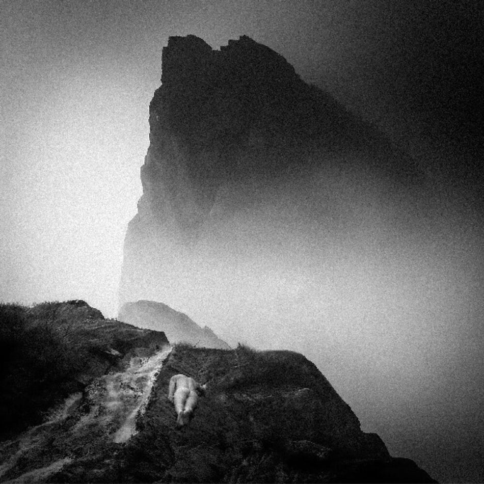 the album cover for Mizmor / Hell - Alluvion [Indie Exclusive Colored Vinyl]