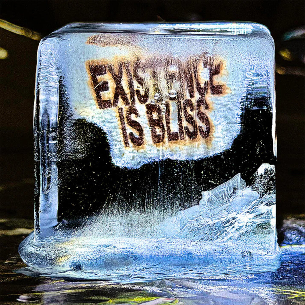 the album cover for DEADLETTER - Existence Is Bliss [Clear Vinyl] (Auto) (Uk)