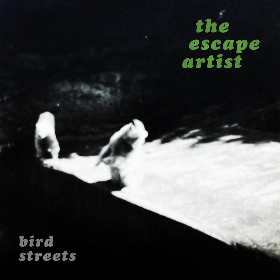 the album cover for Bird Streets - Escape Artist [Silver]