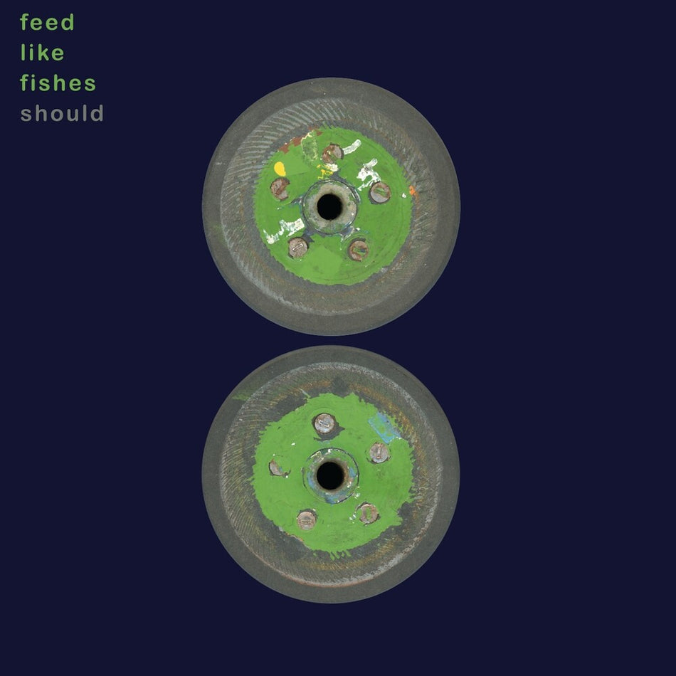 the album cover for Should - Feed Like Fishes