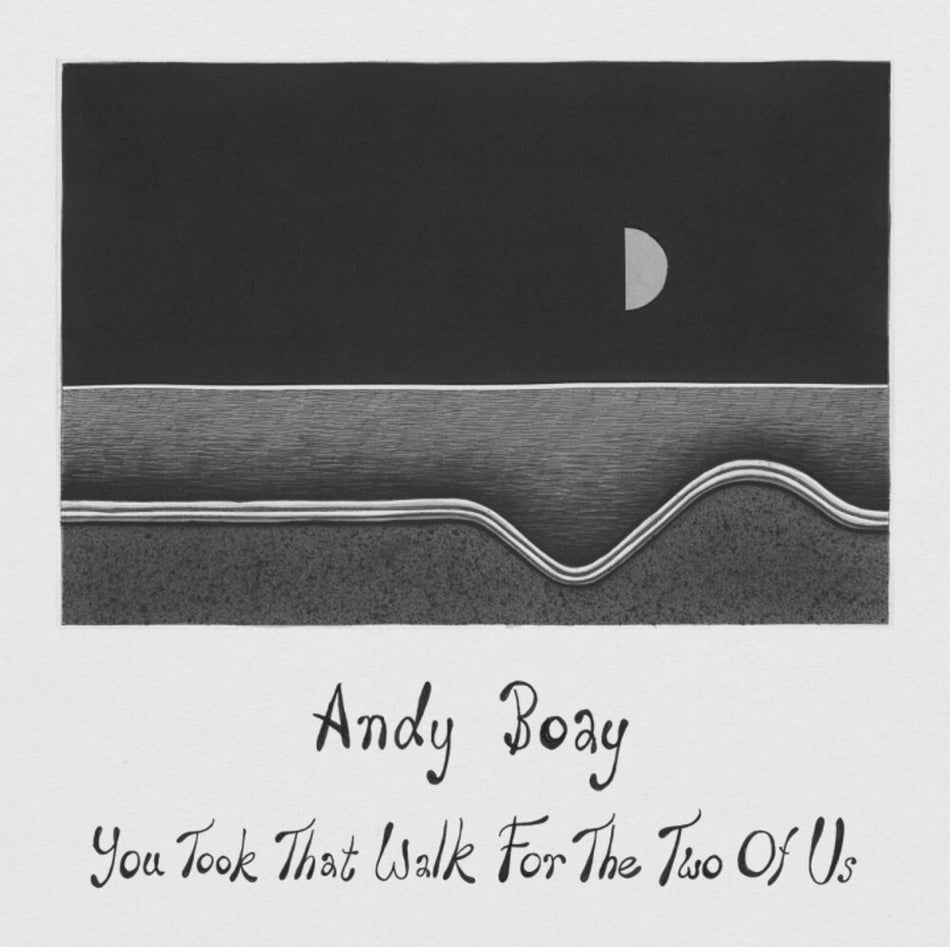the album cover for Andy Boay - You Took That Walk For The Two Of Us