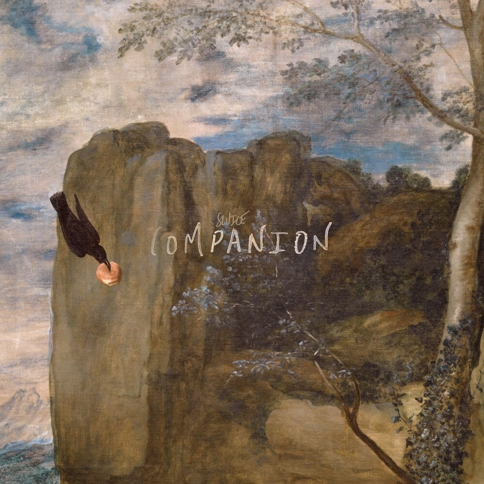 the album cover for Sluice - Companion