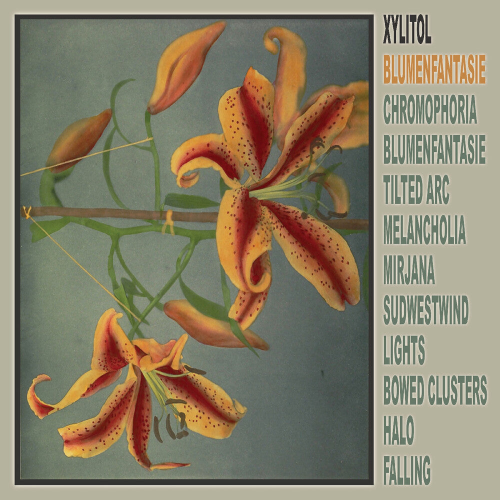 the album cover for Xylitol - Blumenfantasie