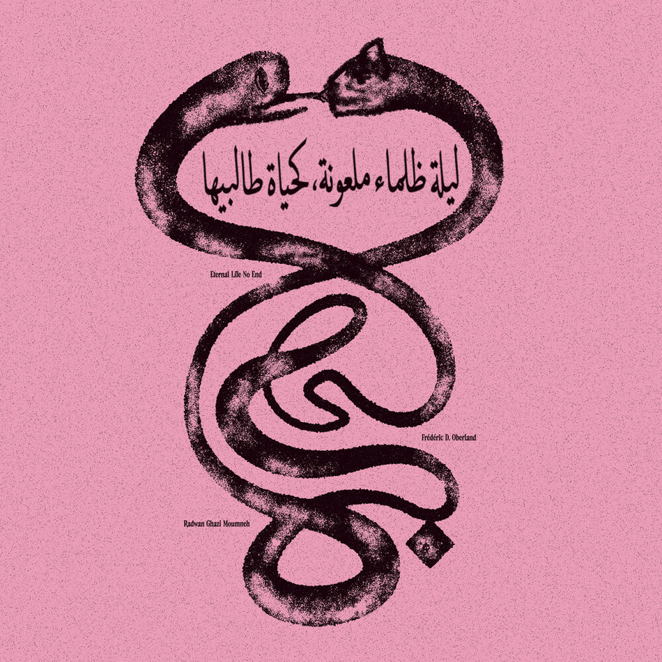 the album cover for Radwan Moumneh  Ghazi / Oberland,Federic D. - Eternal Life No End