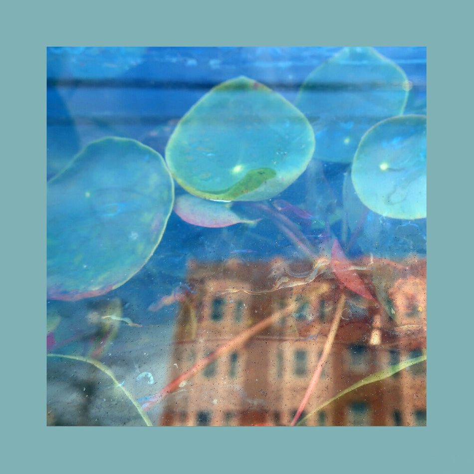 the album cover for Reds Pinks & Purples - Acknowledge Kindness [Indie Exclusive] - Subconscious Window