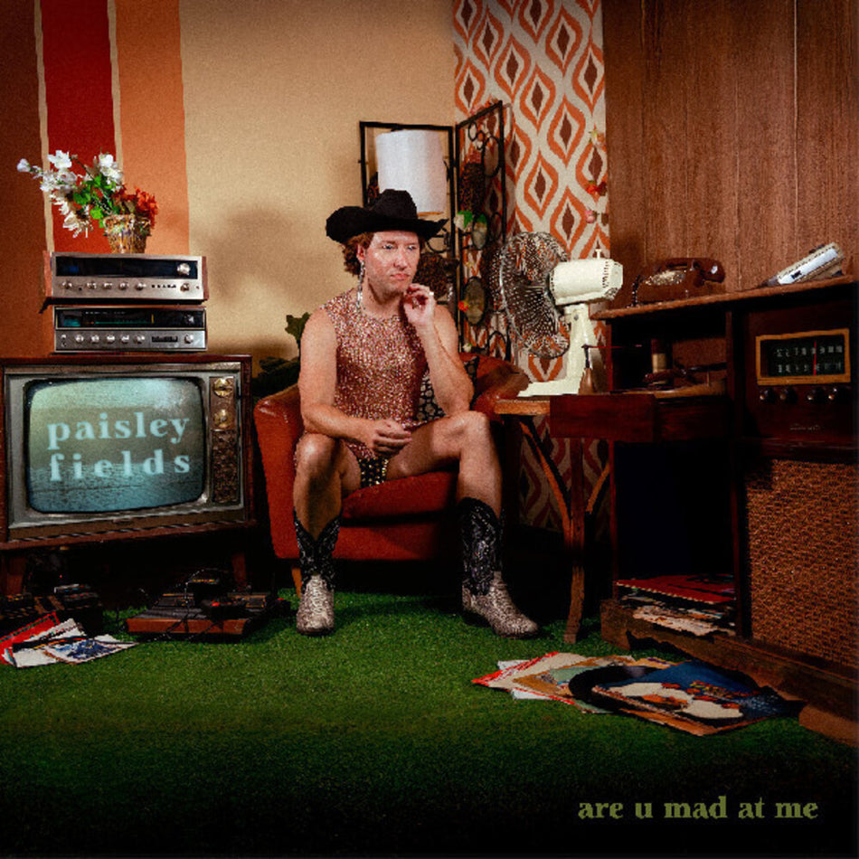 the album cover for Paisley Fields - Are U Mad At Me - Emerald [Colored Vinyl]