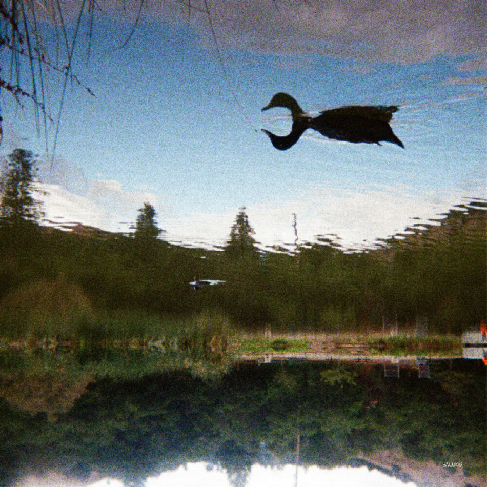 the album cover for Tomu Dj - Antagonist