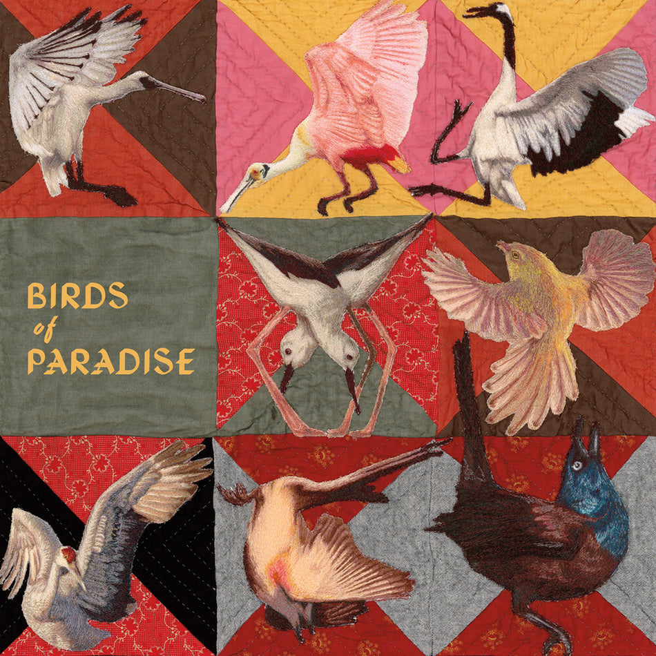 the album cover for Thomas Dollbaum - Birds Of Paradise - Pink [Colored Vinyl] (Pnk)