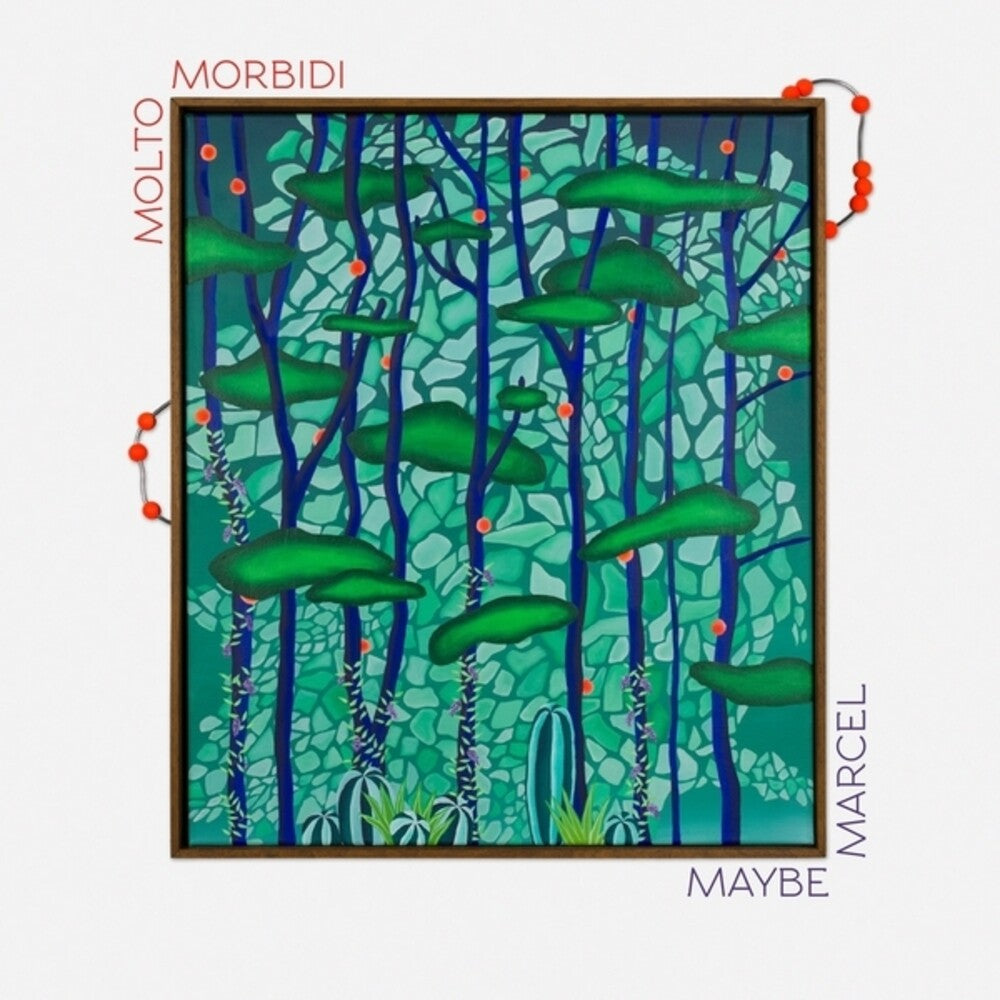 the album cover for Molto Morbidi - Maybe Marcel