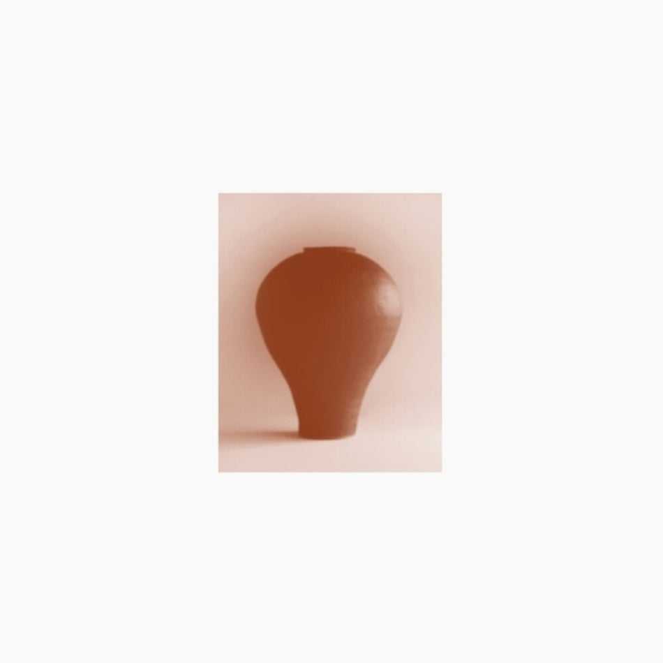 the album cover for Beatriz Ferreyra - Distracted Godc