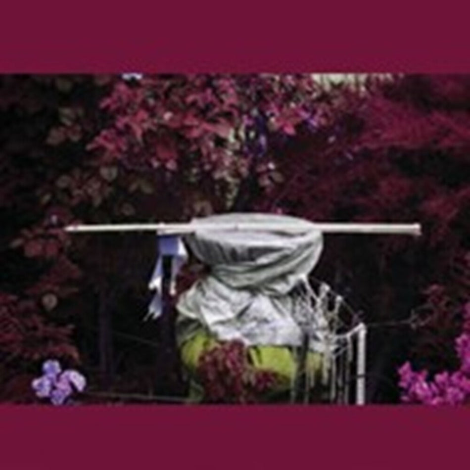 the album cover for Ava Mendoza - Alive Alone Alive Together [Limited Edition]