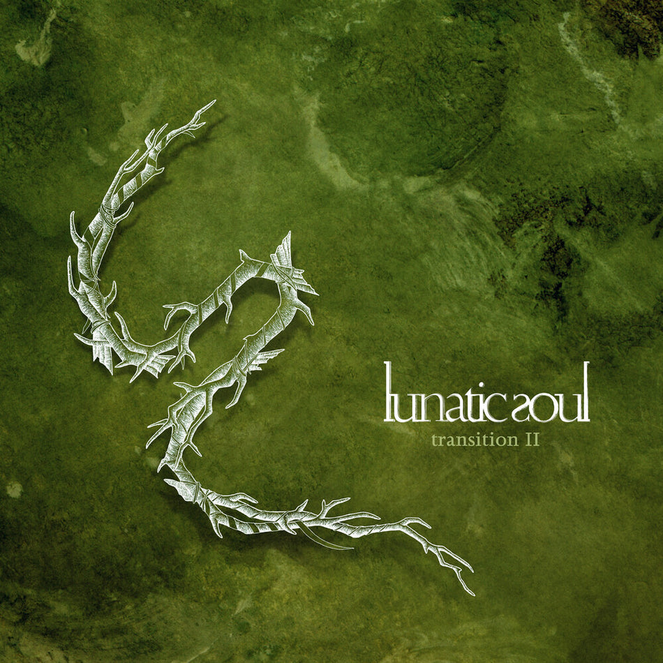 the album cover for Lunatic Soul - Transition 2