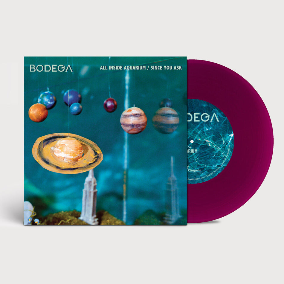 the album cover for Bodega - All Inside Aquarium