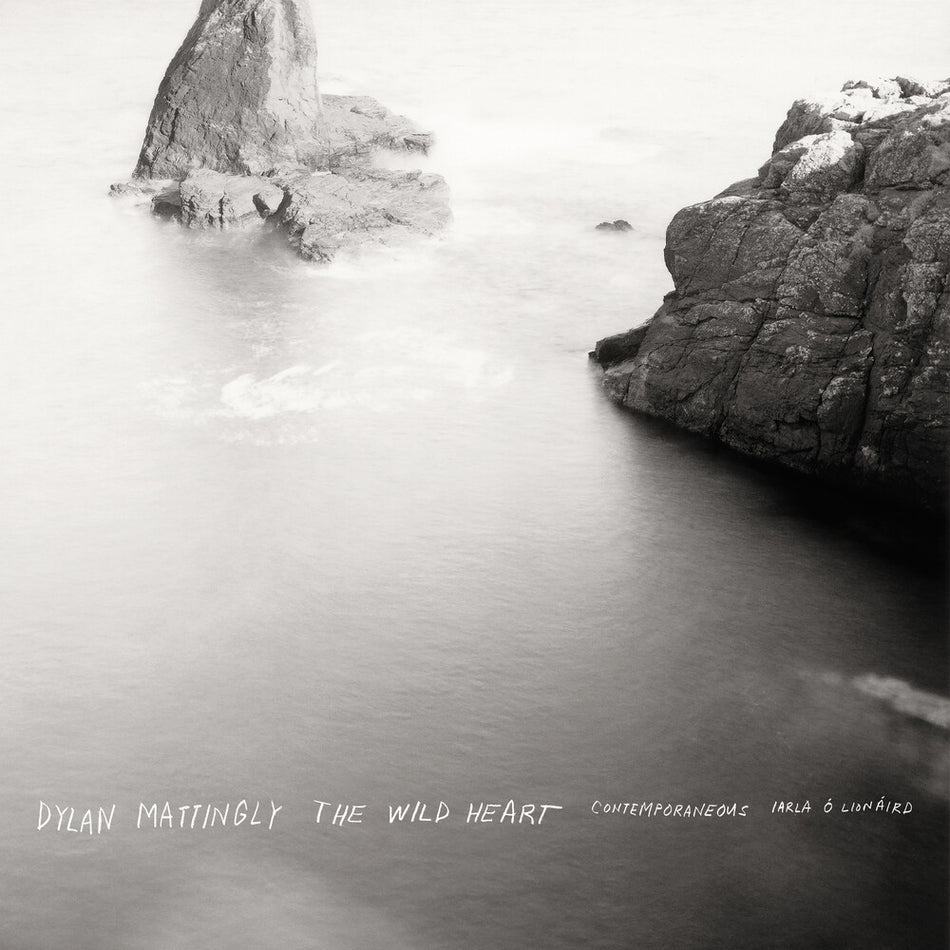 the album cover for Dylan Mattingly - Wild Heart