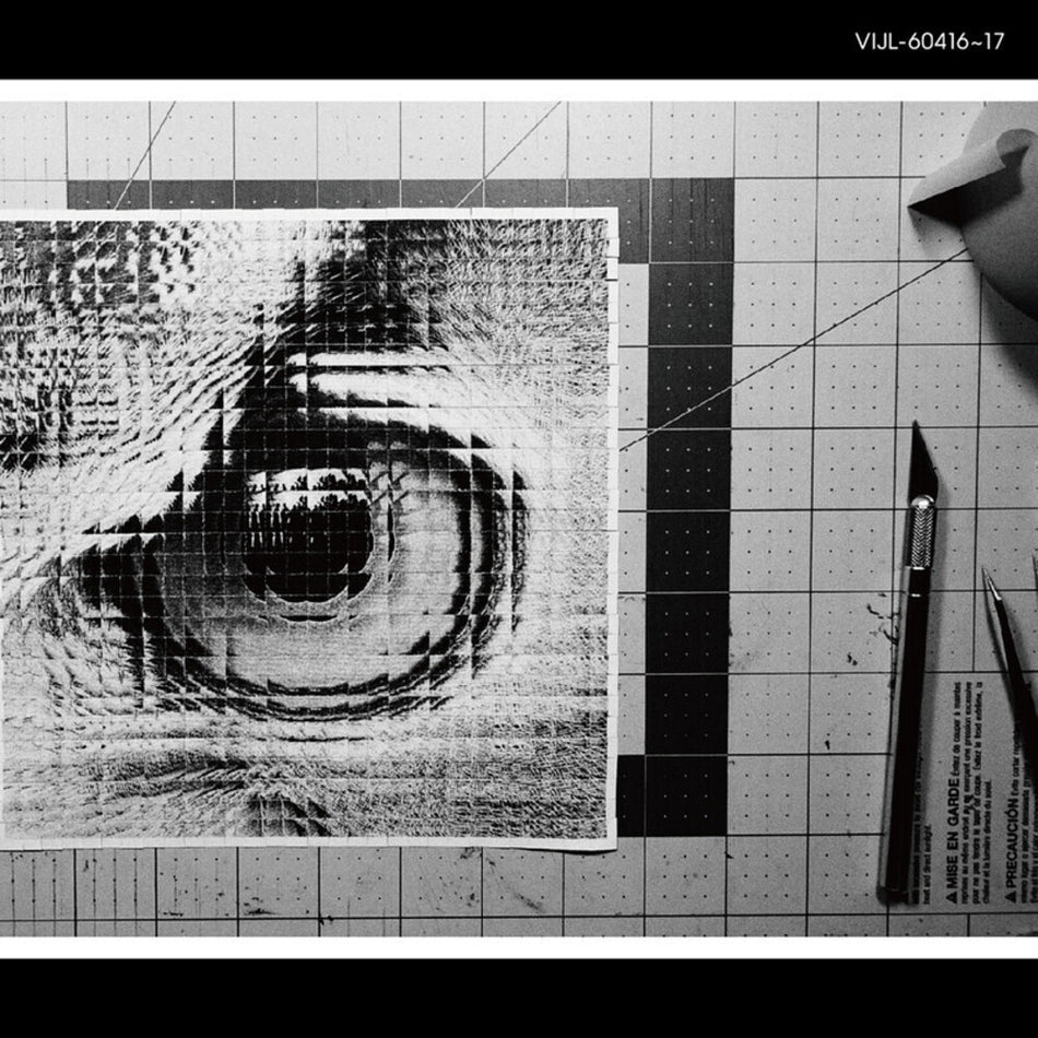 the album cover for Sakanaction - Adapt (180g/2lp)