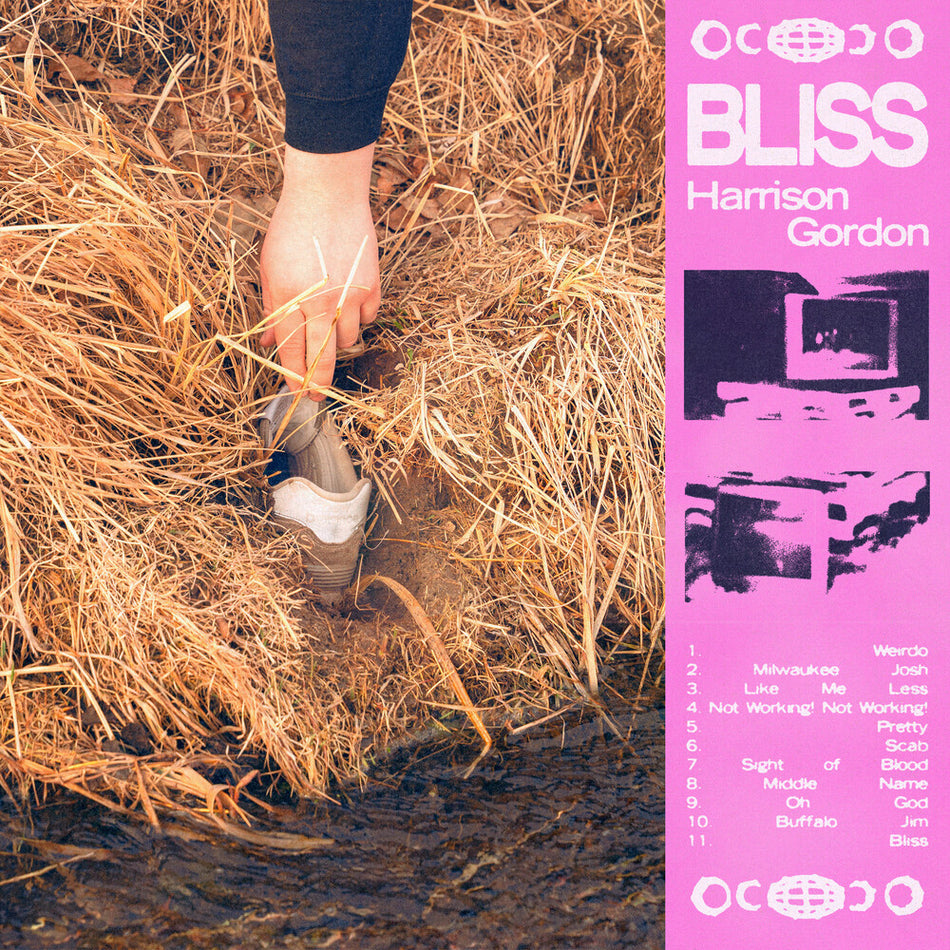 the album cover for Harrison Gordon - Bliss [Colored Vinyl]