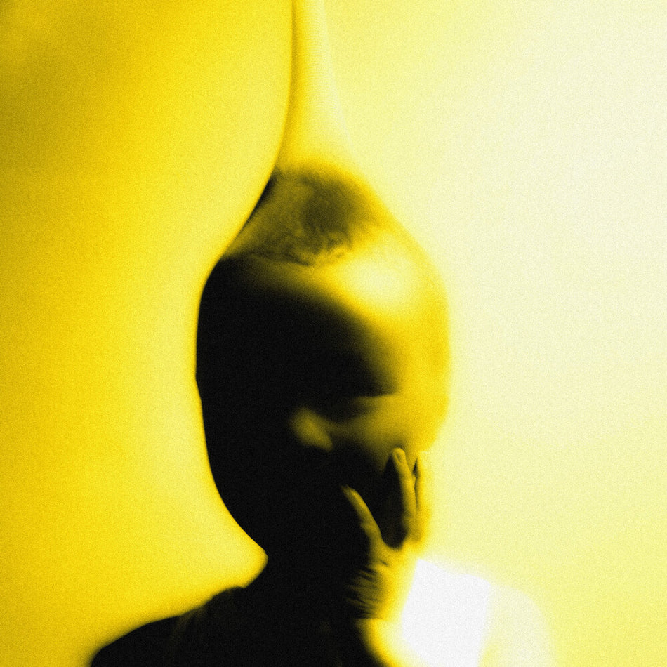 the album cover for Lemonsuckr - Life Is A Heist