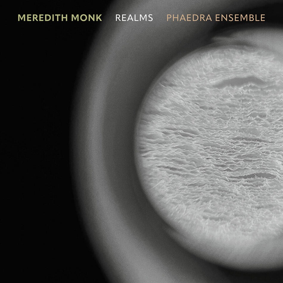 the album cover for Phaedra Ensemble - Realms