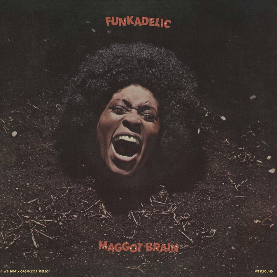 the album cover for Funkadelic - Maggot Brain
