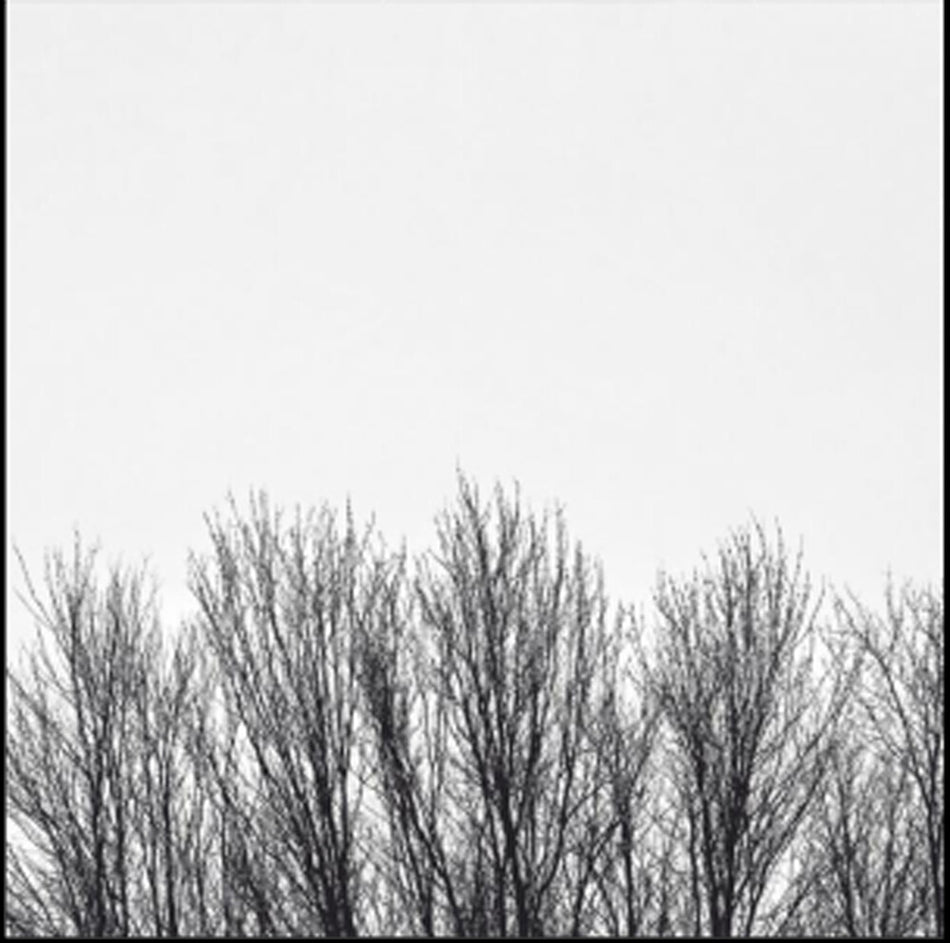 the album cover for Northwoods Improvisers - White Sky
