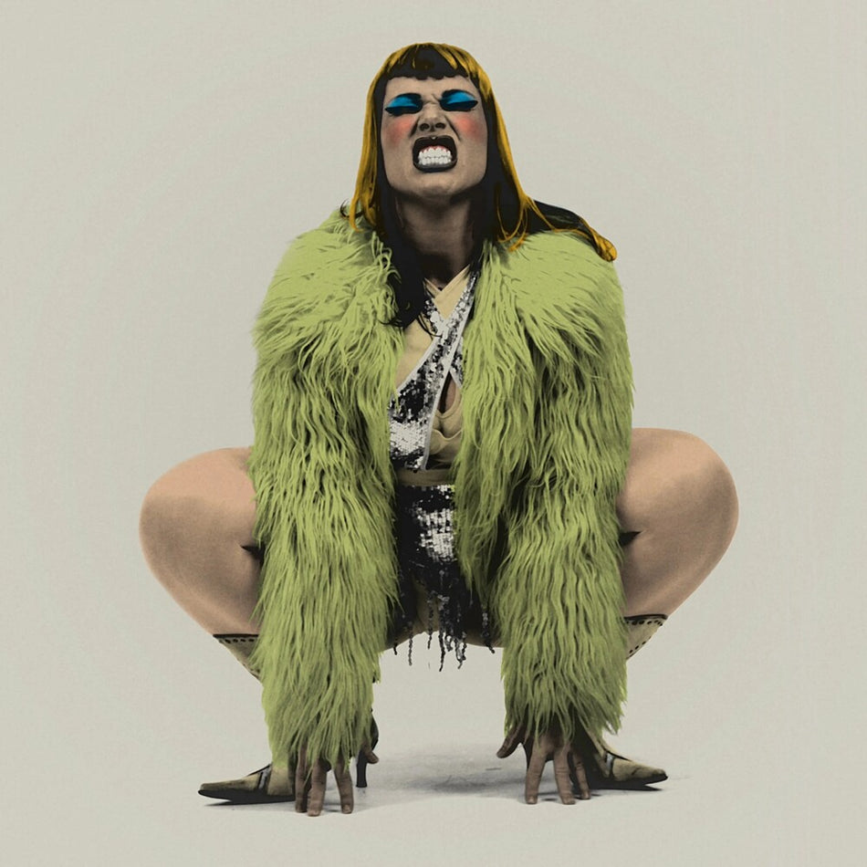 the album cover for Split Dogs - Nice N' Rough