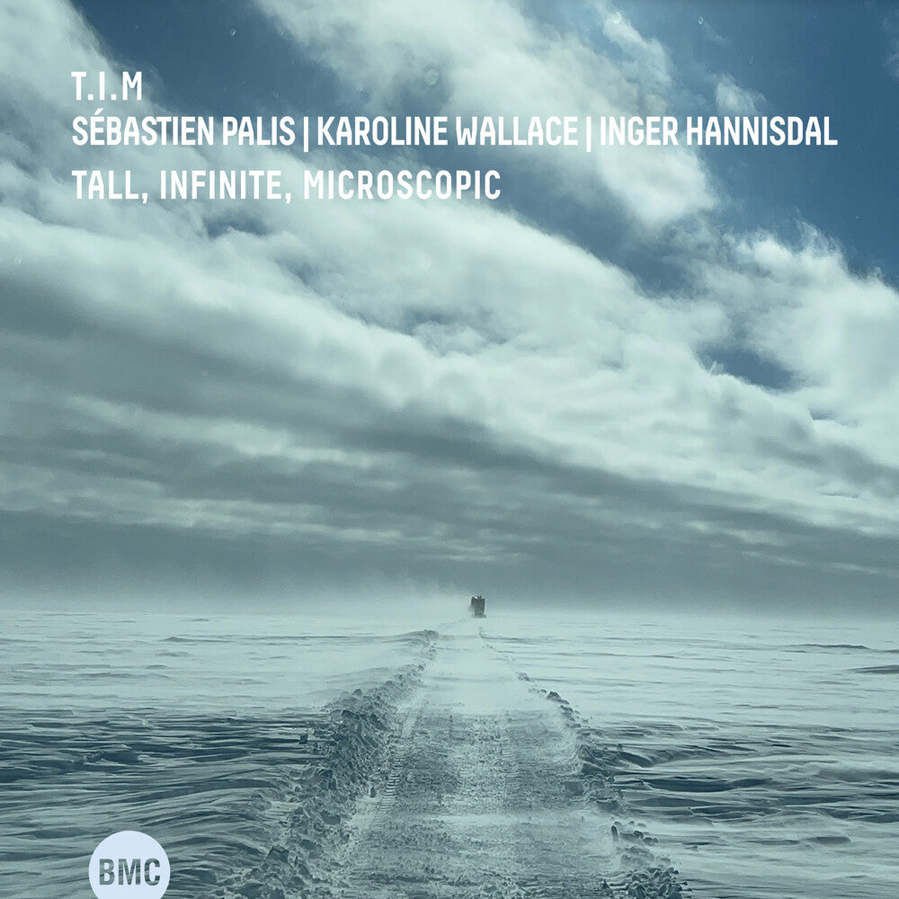 the album cover for T.I.M. - Tall, Infinite, Microscopic