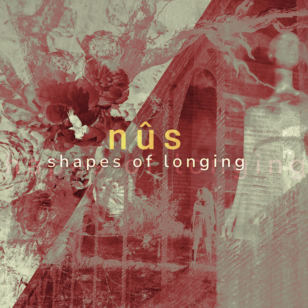 the album cover for Nus - Shapes Of Longing