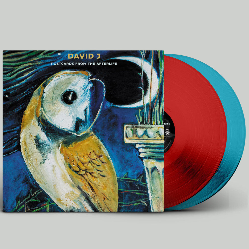 the album cover for David J - Postcards From The Afterlife [Colored Vinyl]