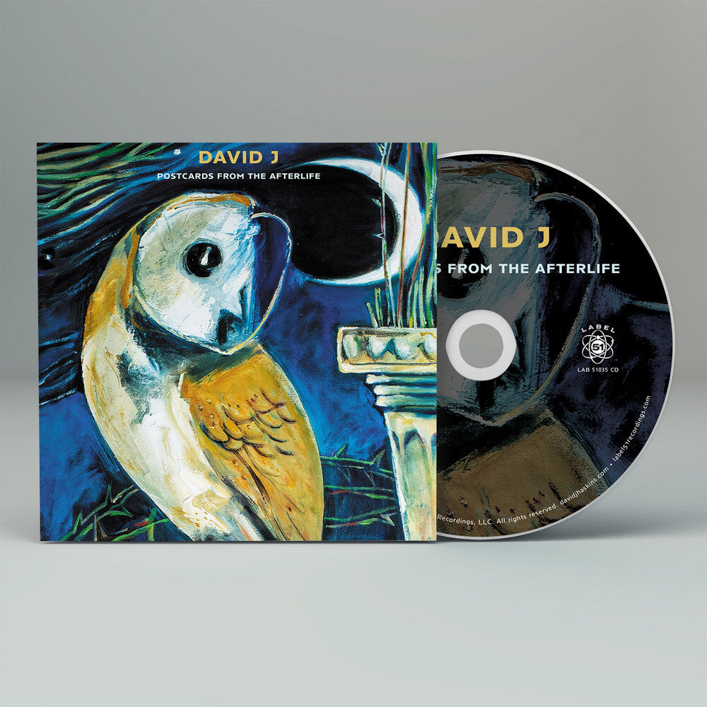 the album cover for David J - Postcards From The Afterlife