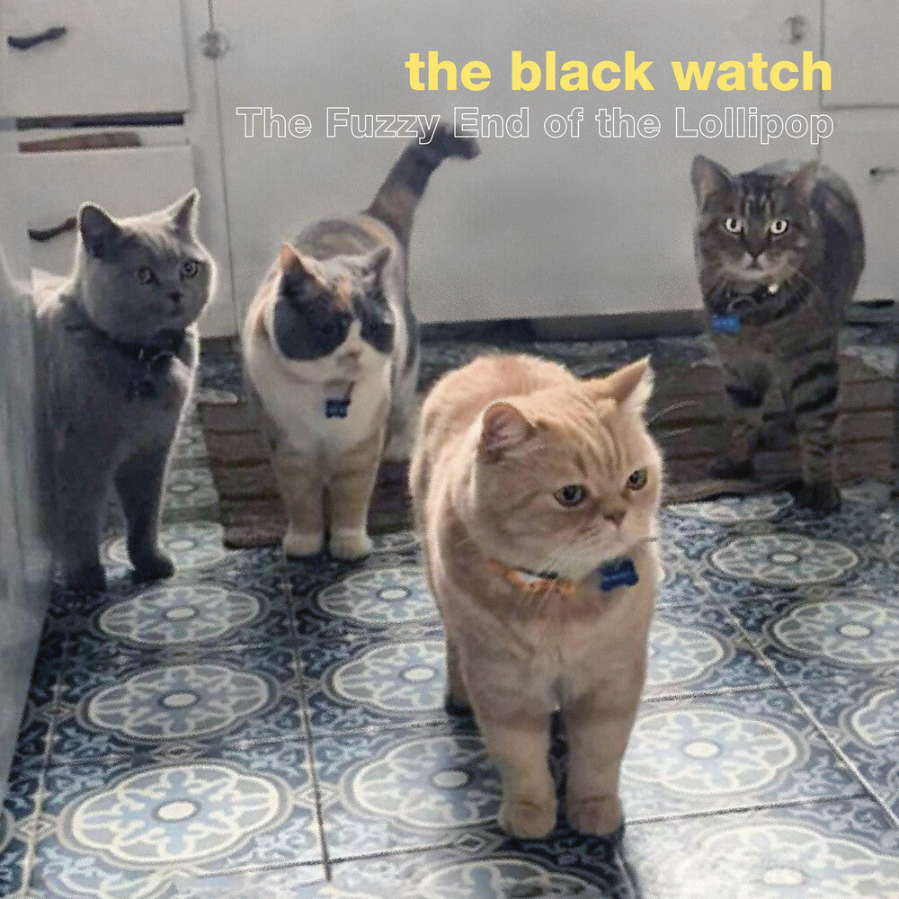 the album cover for Black Watch - Fuzzy End Of The Lollipop