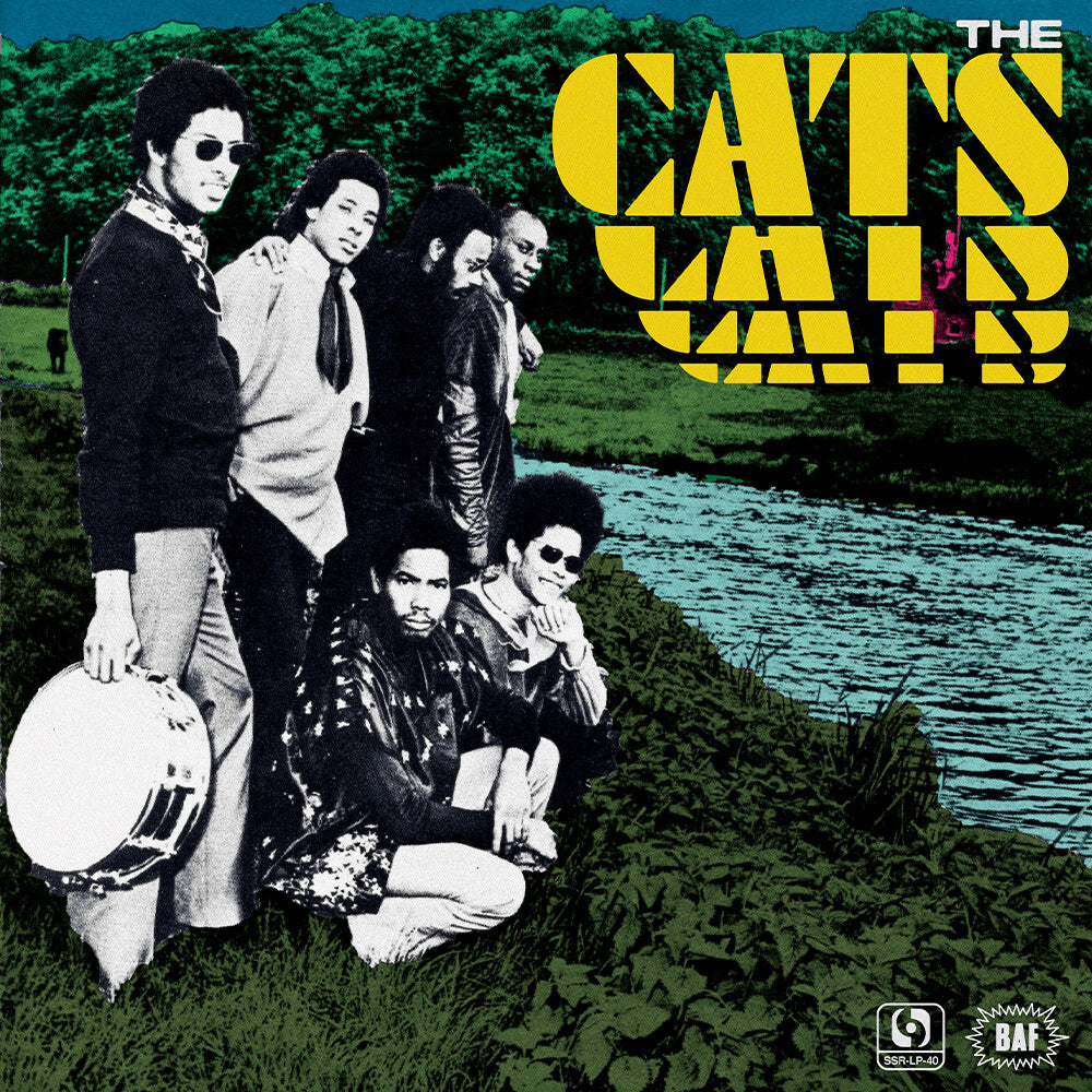 the album cover for Cats - Cats