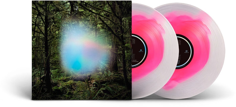 the album cover for Ghosts of the Forest - Ghosts Of The Forest [Clear Vinyl] (Pnk) [Reissue]