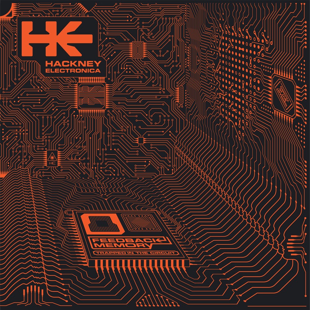 the album cover for Hackney Electronica - Feedback Memory