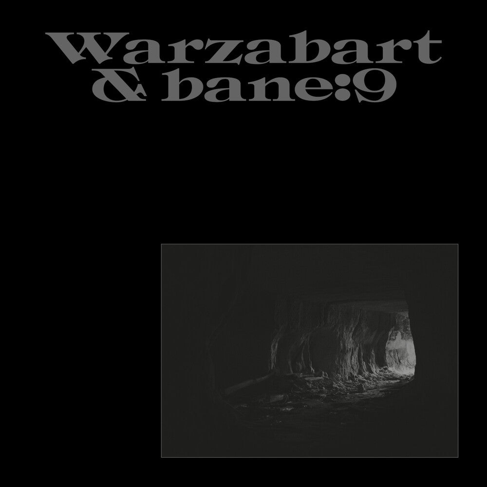 the album cover for Warzabart & Bane9 - Riddim De Mareuil
