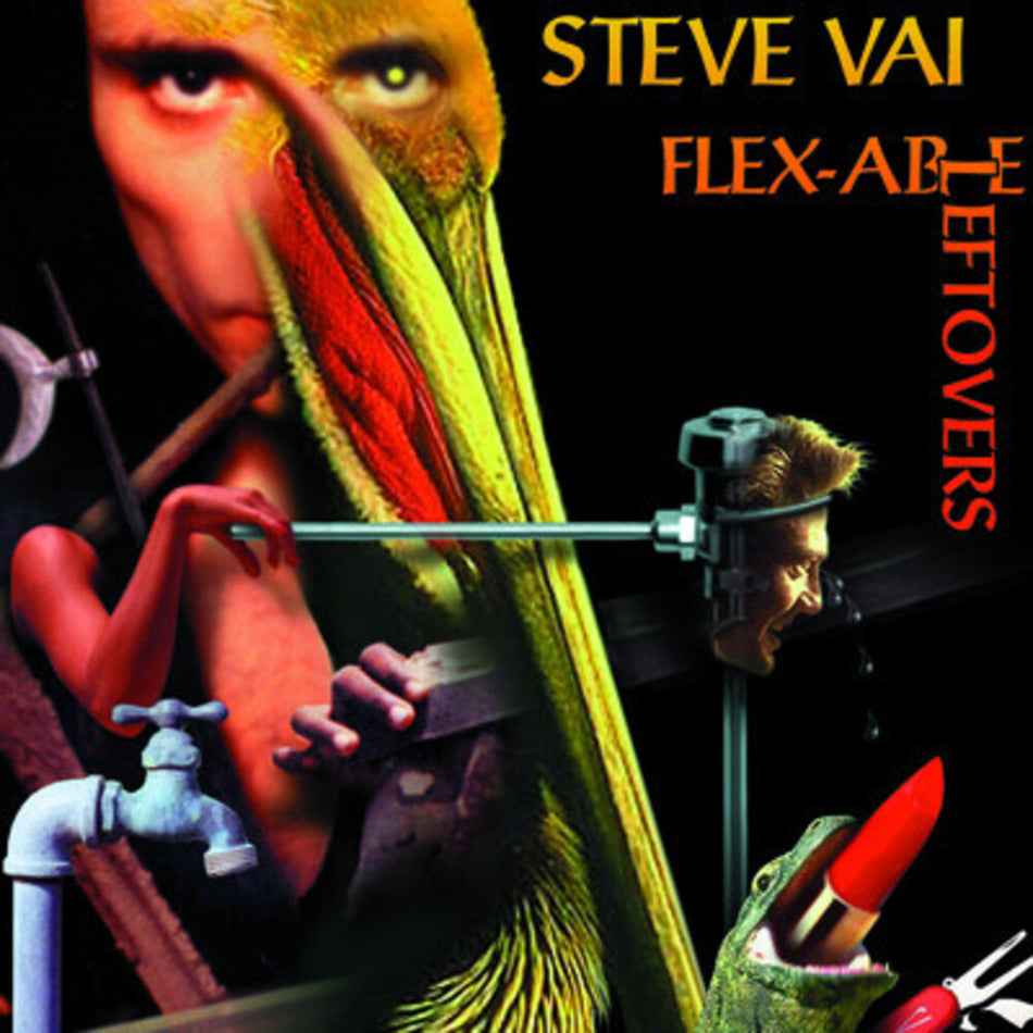 the album cover for Steve Vai - Flexable Leftovers