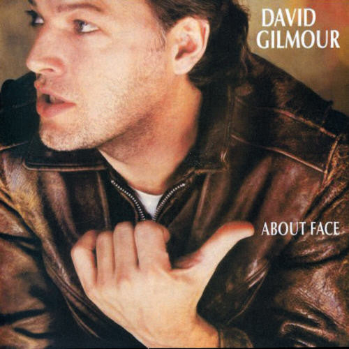 the album cover for David Gilmour - About Face (Eng) [Remastered]