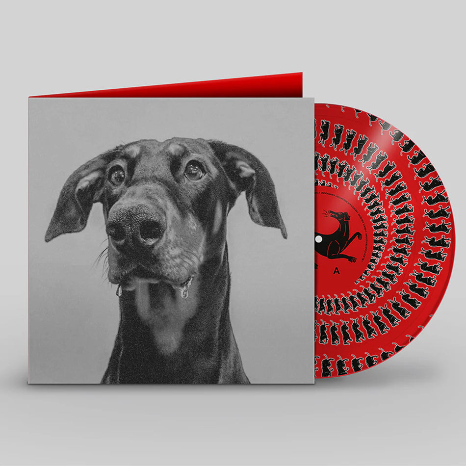 Big Special - Postindustrial Hometown Blues LP (Zoetrope Picture Disc Vinyl)