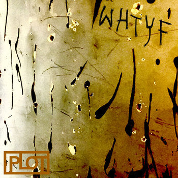 PLOT -  What Happened To Your Face LP