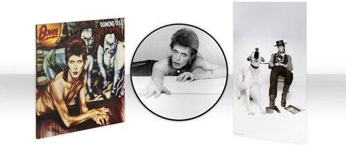 David Bowie - Diamond Dogs LP (Picture Disc 50th Anniversary Remastered At Half Speed)