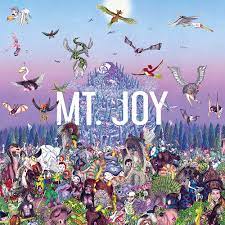 Mt. Joy - Rearrange us LP