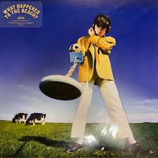 Declan McKenna - What Happened To The Beach LP (Yellow Vinyl)