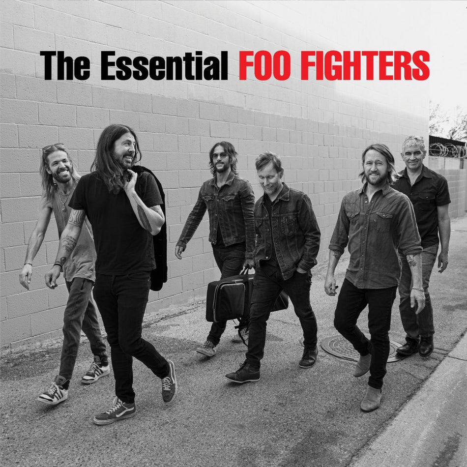 Foo Fighters -  The Essential Foo Fighters LP (2 discs)